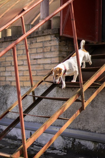 Ilustrační foto Silo Jihlava