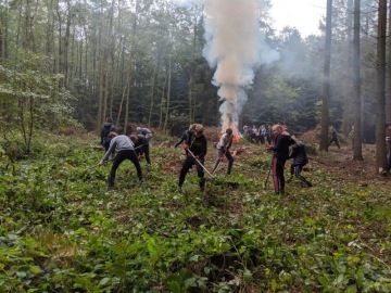 Školní les - Chaloupky