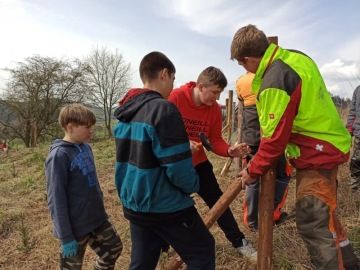 Školní les - Chaloupky
