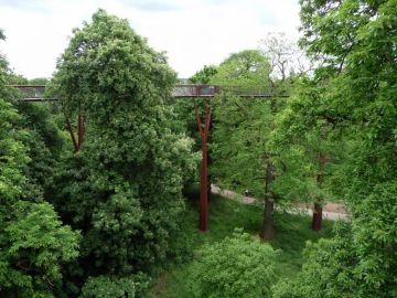 Stezka v korunách stromů, Kew Gardens Londýn (Wikimedia Commons, Christine Matthews)